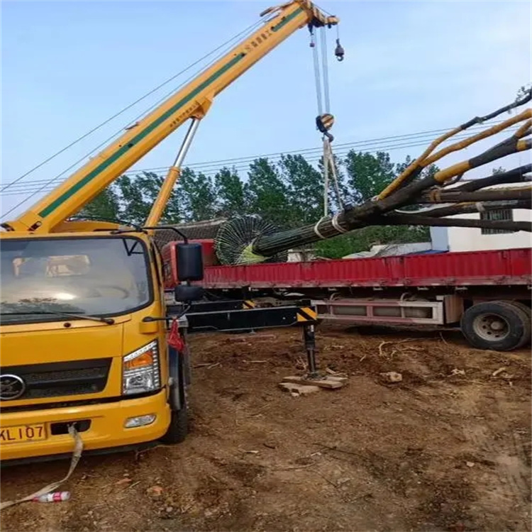 监利100吨吊车租赁费用怎么算？3大关键因素+省钱技巧全解析